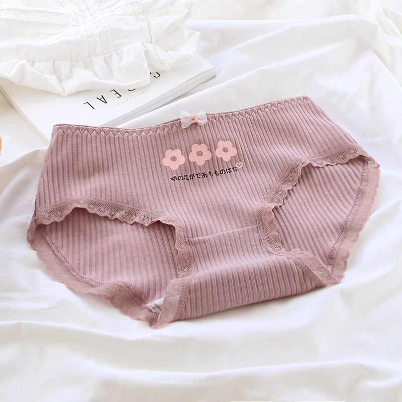 Breathable lace and cotton lingerie briefs