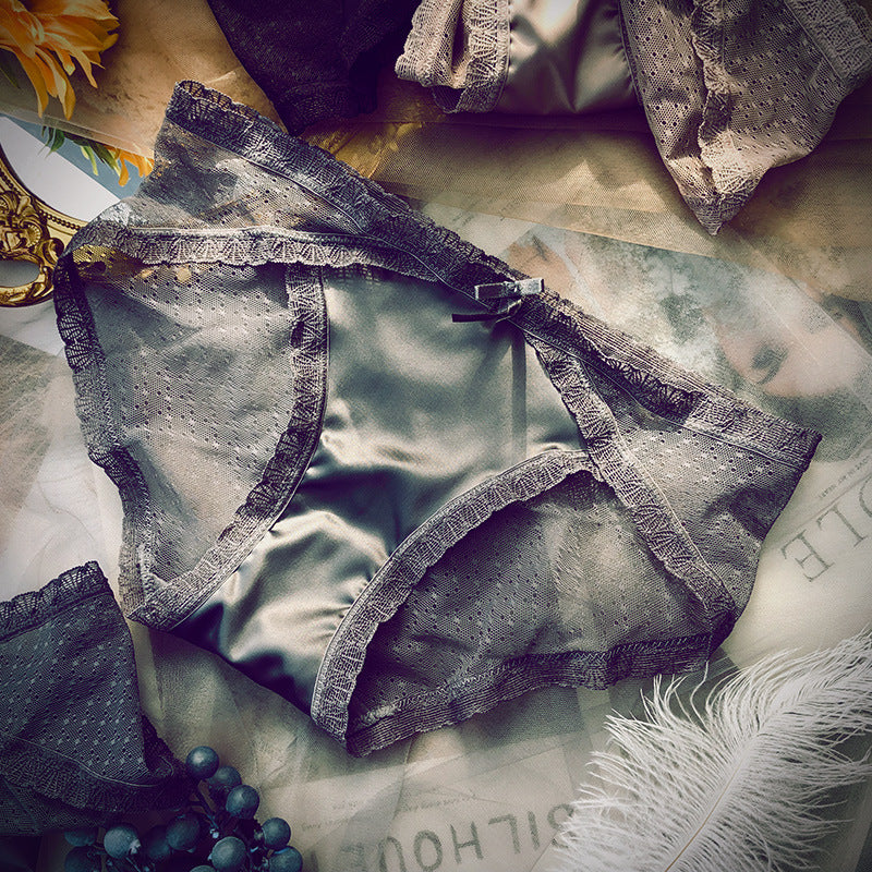 Sheer embroidered lace lingerie briefs