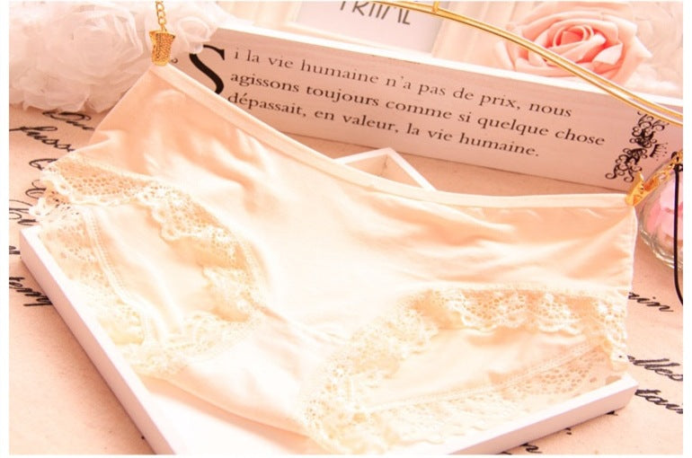 Elegant low-waisted lace lingerie briefs
