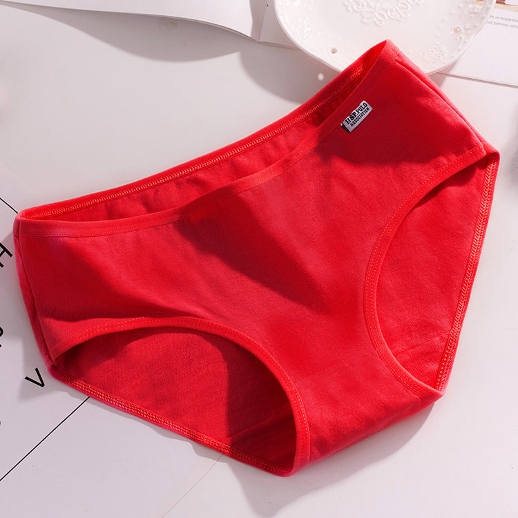 Low-waisted plus-size cotton lingerie briefs - image 2