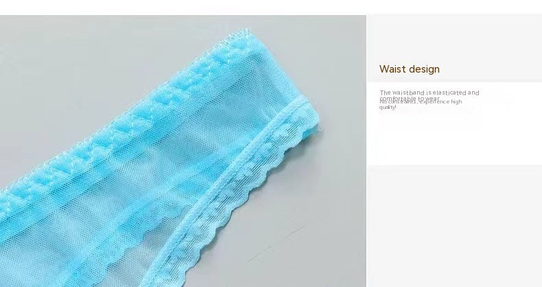 Seamless sheer silk lingerie briefs - image 1