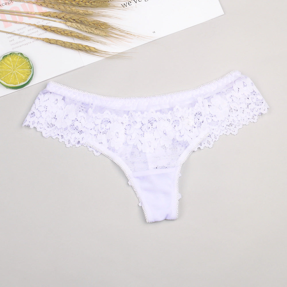 Elegant lace and cotton lingerie briefs