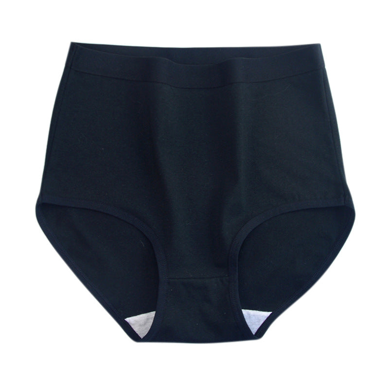 High-waisted plus-size cotton lingerie briefs
