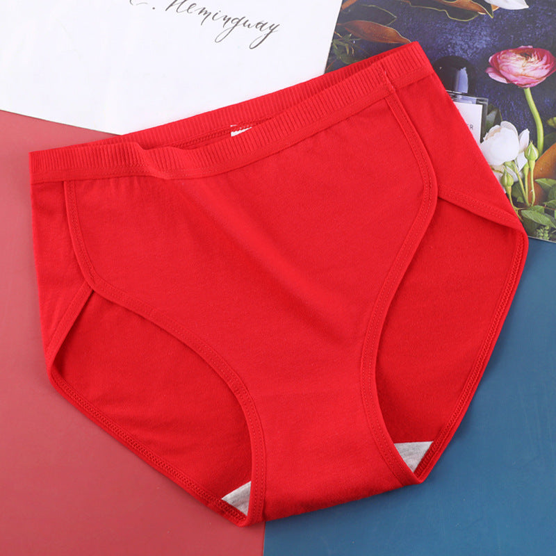 Low-waisted seamless cotton and polyester lingerie briefs