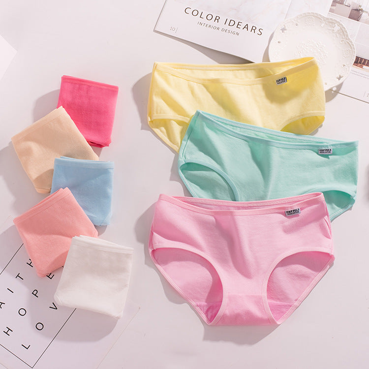 Low-waisted plus-size cotton lingerie briefs - image 3